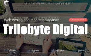 Trilobyte Digital Marketing