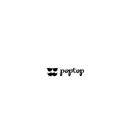 Poptop Wedding Photography Company